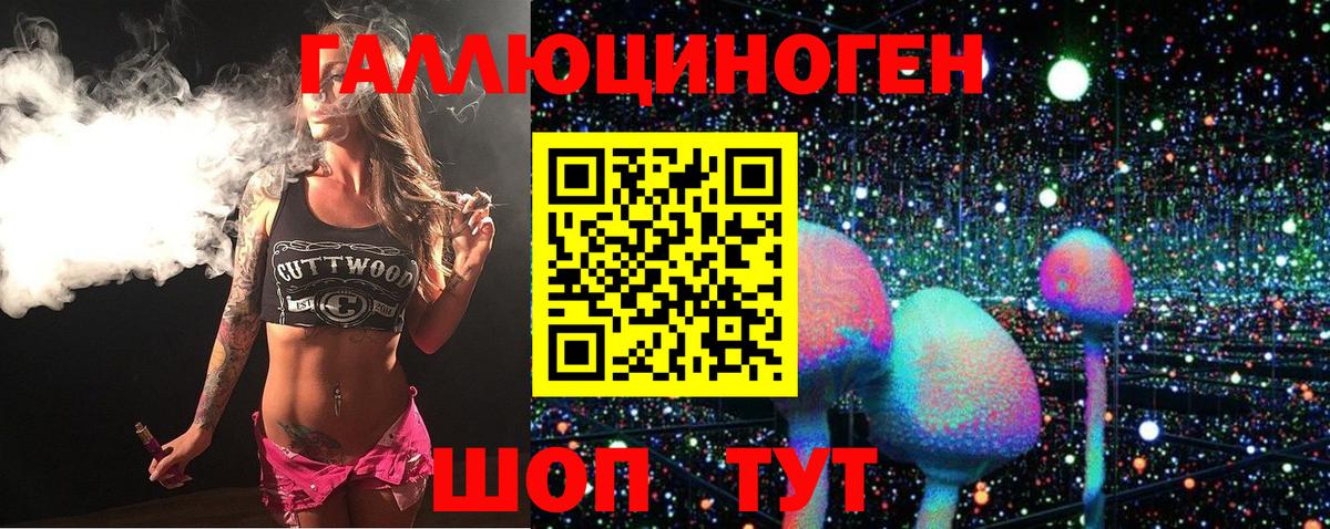 Галлюциногенные грибы Cubensis Новомосковск