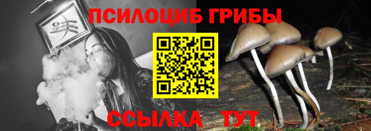 Новомосковск  Галлюциногенные грибы Psilocybine cubensis  Псилоцибиновые грибы GOLDEN TEACHER  Вход с VPN 